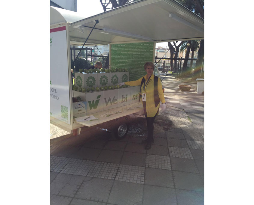 APECAR-WEBINS-BMT_2016-3